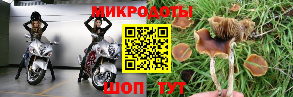 Псилоцибиновые грибы GOLDEN TEACHER Новочеркасск